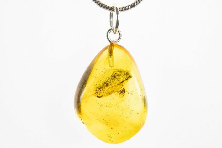 Polished Baltic Amber Pendant (Necklace) - Contains Fly! #310999